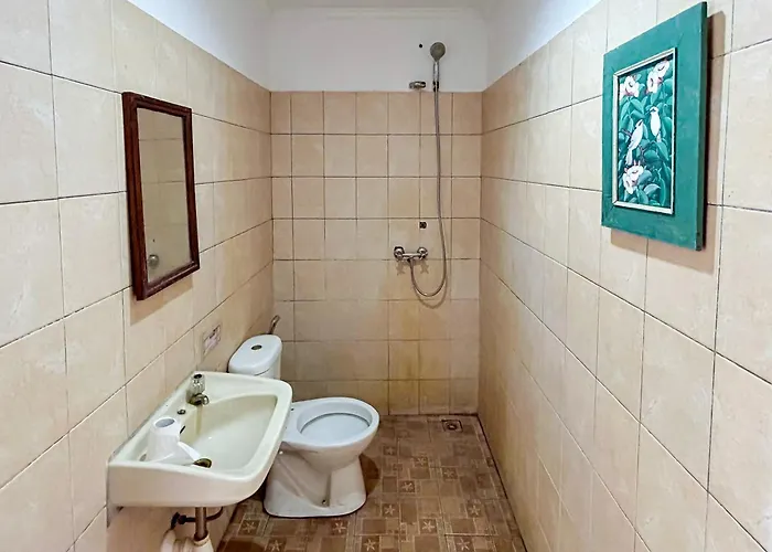 Hotel Hepi Lovina Mitra Reddoorz Panji
